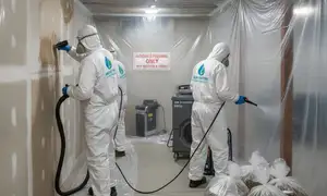 Murrieta, CA mold remediation services by Water Damage Murrieta CA for safe home restoration